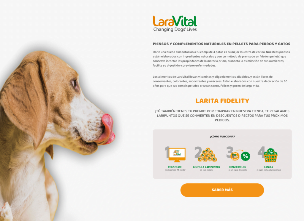 copywriting lara vital
