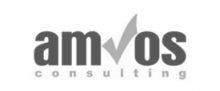 Amvos-consulting